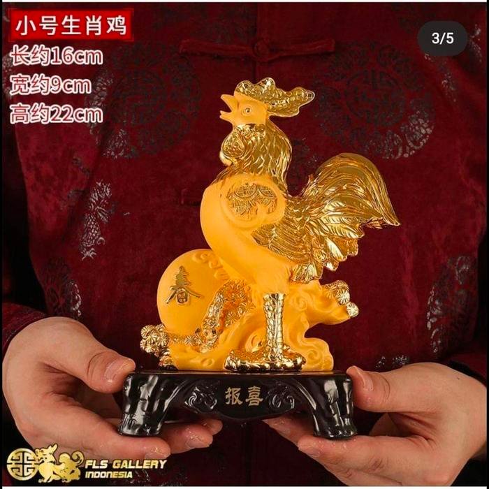 12 Shio Series Gold sands 22cm Shio Ayam